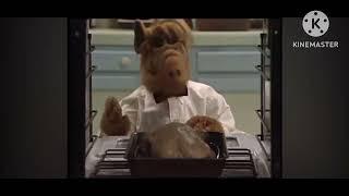 Alf blows up the kitchen in wtf bomb