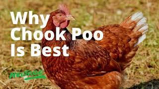 Neutrog TV | Why Chicken Poo is best for your garden + Seamungus