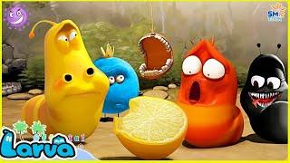 LARVA Season 1 Episode 316 ~ 417 | Best Cartoons 2022 | Comics | Hilarious Cartoon Compilation