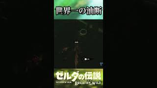 一瞬の油断が命を分かつ瞬間【ゼルダの伝説　ブレス オブ ザ ワイルド】