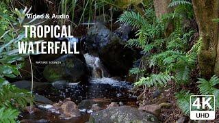 Tropical Waterfall & Audio - Nature & Meditation