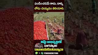 రైతన్న తరువాతే ఎవ్వరైనా.. || @Wakeup India TV