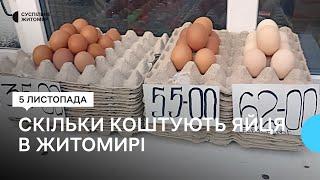 Зростають ціни на яйця: скільки коштує цей продукт в Житомирі та від чого залежить його ціна