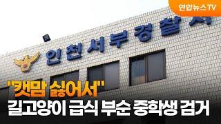 "캣맘 싫어서"…길고양이 급식 부순 중학생 검거 / 연합뉴스TV (YonhapnewsTV)