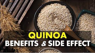 Quinoa Benefits and Side Effects | Is Quinoa Better For You Than Rice?