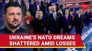 Putin In Joy As Trump Readies Big Shock For Zelensky; 'No NATO Membership For Ukraine...' - Report