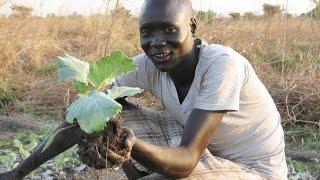 Watering the Seeds of Change in South Sudan