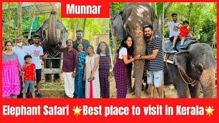 Munnar || Elephant Safari in Kerala ||Elephant Ride || Green Panther Juan