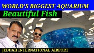 world's Biggest Fish Aquarium | Jeddah international Airport | 2021