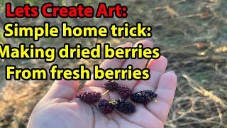 ترفند خانگی: تهیه توت خشک از توت های تازه Simple home trick: Making dried berries from fresh berries