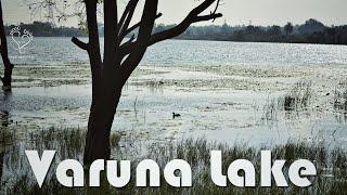 Varuna Lake & Sutturu, Mysore | Mysore outskirts | Outback adventures | Steps Together