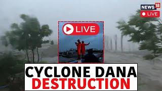 Cyclone Dana LIVE | Dana Cyclone Update | Cyclone Dana Uproots Trees | Cyclone In Odisha | N18L