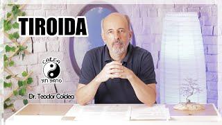 Tiroida- Dr.Teodor Coldea - Calea Yin Yang