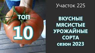 Лучшие сорта вкусных, мясистых, урожайных томатов.  Посадите, не пожалеете! Проверено на грядке!