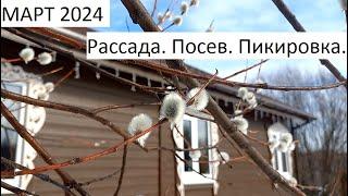 Март 2024. Рассада. Посев и пикировка.