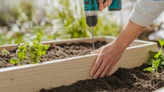 How To Build A Raised Garden Bed On A Budget! : Easy Step-by-Step Guide For Beginners