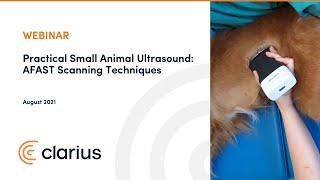 Practical Small Animal Ultrasound: AFAST Scanning Techniques