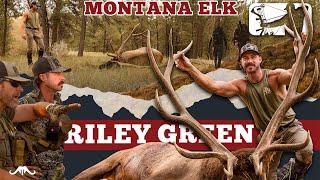 Riley Green Bowhunting Montana Elk | 3rd Times A Charm | Major League Bowhunter