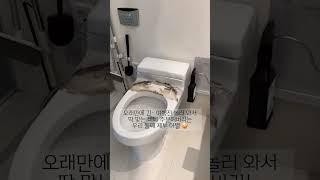 화장실 변기 비데 바꾸기 셀프 묶은 때 찌든때 #청소 #청소브이로그 #정리 #살림팁