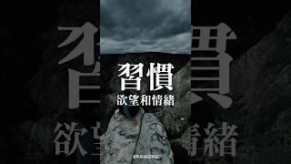 習慣欲望和情緒 #個人成長 #情感 #面對自己