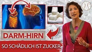 So schädlich  ist Zucker  für unser Mikrobiom | Mikrobiom Praxis