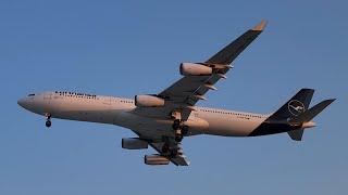 Lufthansa Airbus A340-300 arrival at O'Hare