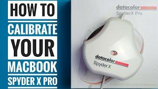 How to Calibrate Your Macbook with the Spyder X Pro