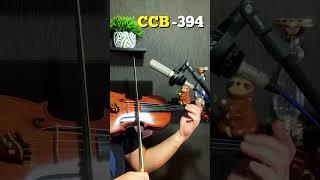 Hino 394 - Nas moradas do Senhor Violino  #hinosccb #ccb #violinoccb #sanpazzi