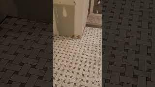 New Basketweave Tile #bathroom  #renovation