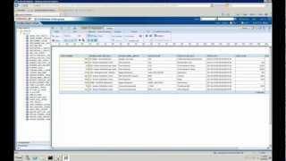 Oracle BI Publisher for JD Edwards - Part 4: Demo - Create New Report - Part 1