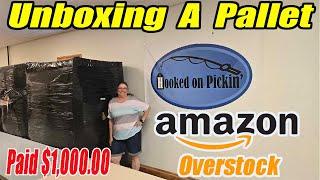 Unboxing an Amazon Pallet of Overstock and Shelf Pulls from other sellers. Paid $1,000.00