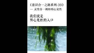 意識合一之路系列之三十九     靈裡合一調和明心見性#易經 #金剛經 #八字