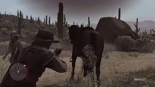 Red Dead Redemption (GTX 660 1.5gb)