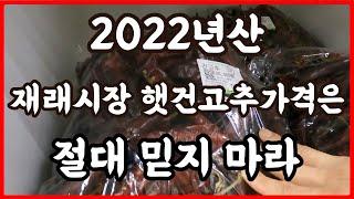 햇고추 햇건고추 고추시세 고추가격 알아 보려면 집근처 로컬푸드 가면 된다!