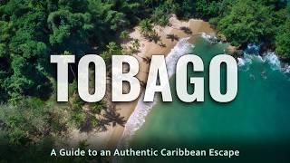 Travel Guide to Tobago | Ultimate Caribbean Holiday Destination