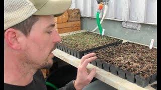 S5 ● E17 Low-cost, low-tech, low-energy seed starts in a cold climate