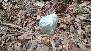 Placed rocks, Bigfoot Europe Research, Trails in the Woods