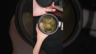 Sony α7 III Camera & Sony FE 200-600mm f/5.6-6.3 G OSS Lens unboxing & photography 4k