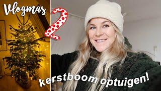 KERSTBOOM KOPEN & NAAR KERST VILLAGE  | VLOGMAS DAG 2