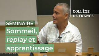 Sommeil, replay et apprentissage (4) - Stanislas Dehaene (2024-2025)