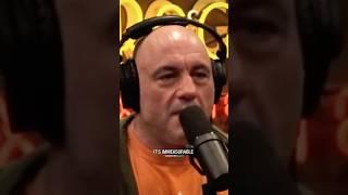 Joe Rogan on the Secret to Loving Mondays