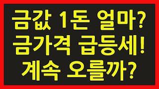 금값 전망 금 시세 투자 오늘 1돈 가격 한돈 상승 하락 추이 동향 그래프 예측 급등세! 계속 오를까?