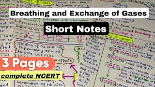 Breathing and Exchange of Gases | Short Handwritten Notes | NEET 2025 #biology  #neet2025