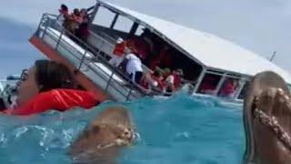 Blue Lagoon boat sinking full video