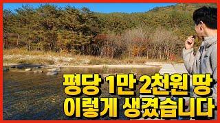 1만 2천원 소액 토지경매 현장 영상 ㅣ 부플러스