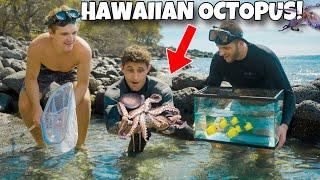 Catching WILD OCTOPUS For AQUARIUM!!