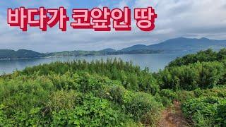 Buy cheap Korean beach land