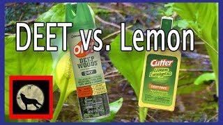 Best Mosquito Repellent - Actual in the field Battle Off with DEET vs. Cutter's Lemon Eucalyptus