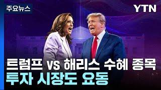 트럼프 vs 해리스 수혜 종목...투자 시장도 요동 / YTN