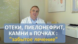 Отеки, пиелонефрит, камни в почках. Ортосифон - уникальное лекарство за 70 рублей. Забытая медицина.